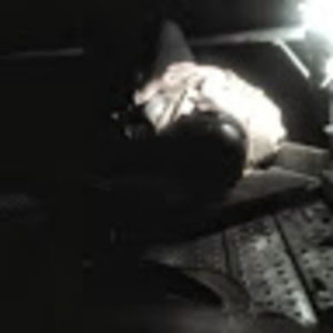 Meet your Posher, Akeem j